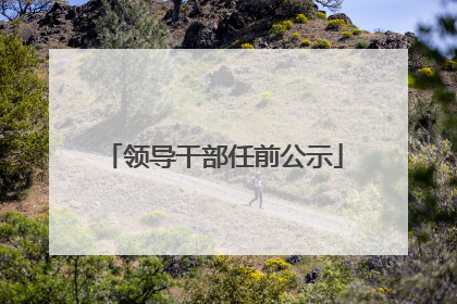 领导干部任前公示