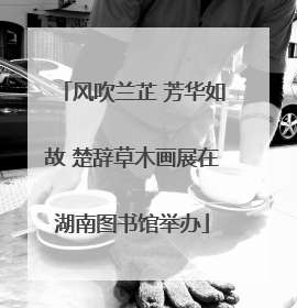 风吹兰芷 芳华如故 楚辞草木画展在湖南图书馆举办