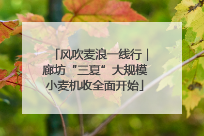 风吹麦浪一线行｜廊坊“三夏”大规模小麦机收全面开始