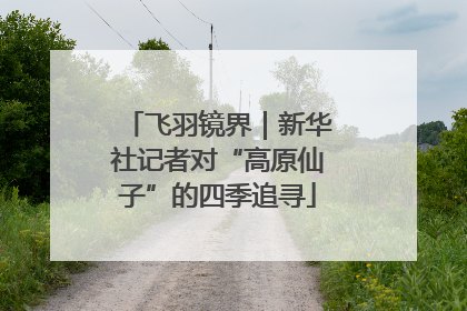 飞羽镜界｜新华社记者对“高原仙子”的四季追寻