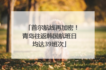 首尔航线再加密！青岛往返韩国航班日均达39班次