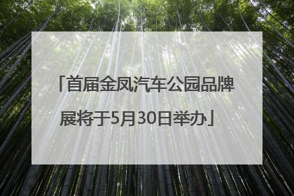 首届金凤汽车公园品牌展将于5月30日举办