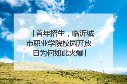 首年招生，临沂城市职业学院校园开放日为何如此火爆