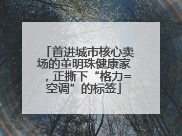 首进城市核心卖场的董明珠健康家，正撕下“格力=空调”的标签
