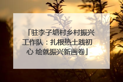 驻李子塘村乡村振兴工作队：扎根热土践初心 绘就振兴新画卷