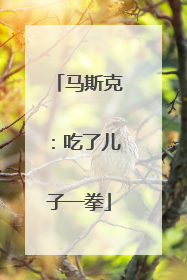 马斯克：吃了儿子一拳