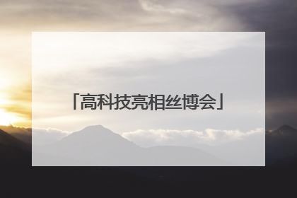 高科技亮相丝博会