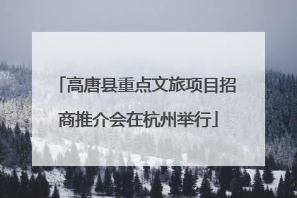 高唐县重点文旅项目招商推介会在杭州举行