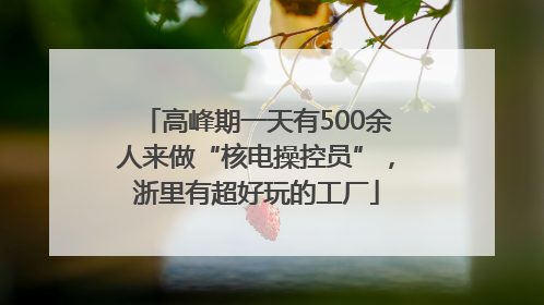 高峰期一天有500余人来做“核电操控员”，浙里有超好玩的工厂