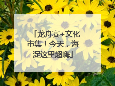 龙舟赛+文化市集!今天,海淀这里超嗨