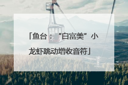 鱼台：“白富美”小龙虾跳动增收音符