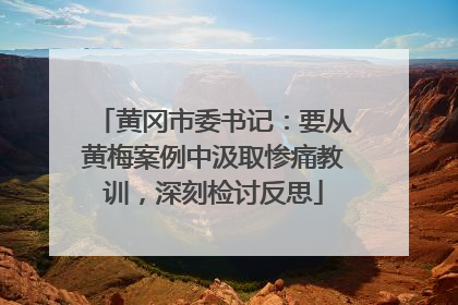 黄冈市委书记：要从黄梅案例中汲取惨痛教训，深刻检讨反思