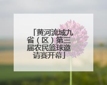 黄河流域九省（区）第三届农民篮球邀请赛开幕
