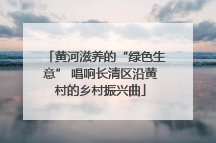 黄河滋养的“绿色生意” 唱响长清区沿黄村的乡村振兴曲