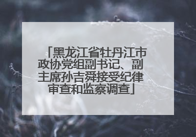 黑龙江省牡丹江市政协党组副书记、副主席孙吉舜接受纪律审查和监察调查