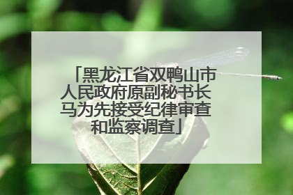 黑龙江省双鸭山市人民政府原副秘书长马为先接受纪律审查和监察调查