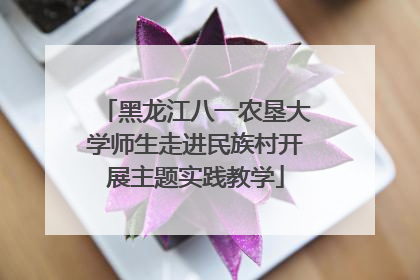 黑龙江八一农垦大学师生走进民族村开展主题实践教学