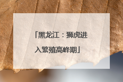 黑龙江：狮虎进入繁殖高峰期