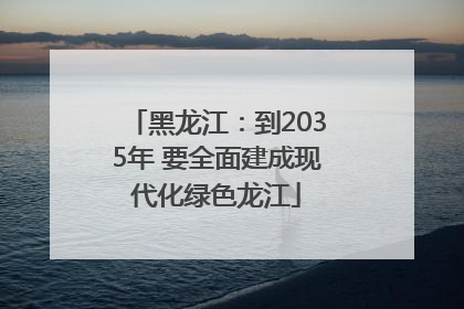 黑龙江：到2035年 要全面建成现代化绿色龙江