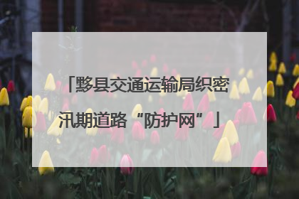 黟县交通运输局织密汛期道路“防护网”