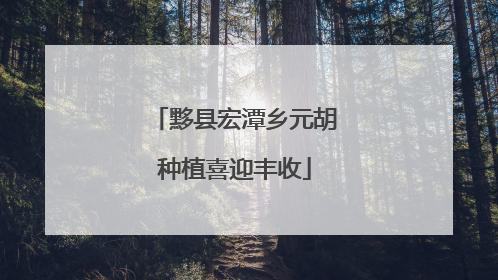 黟县宏潭乡元胡种植喜迎丰收