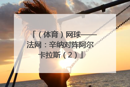 （体育）网球——法网：辛纳对阵阿尔卡拉斯（2）