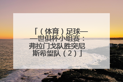 （体育）足球——世俱杯小组赛：弗拉门戈队胜突尼斯希望队（2）