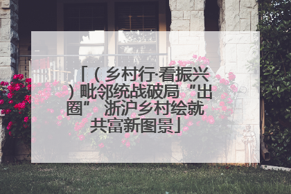 （乡村行·看振兴）毗邻统战破局“出圈” 浙沪乡村绘就共富新图景