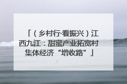 （乡村行·看振兴）江西九江：甜蜜产业拓宽村集体经济“增收路”