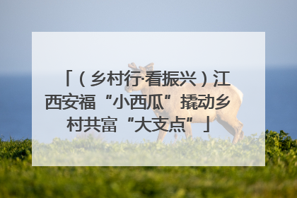 （乡村行·看振兴）江西安福“小西瓜”撬动乡村共富“大支点”