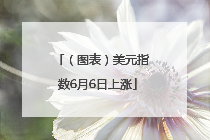 （图表）美元指数6月6日上涨