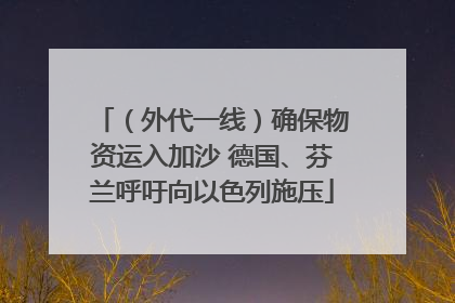 （外代一线）确保物资运入加沙 德国、芬兰呼吁向以色列施压