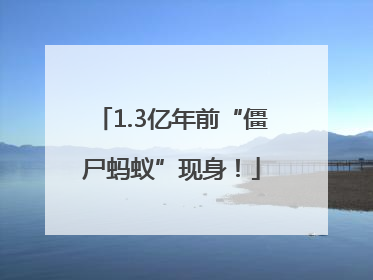 1.3亿年前“僵尸蚂蚁”现身！
