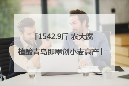 1542.9斤 农大腐植酸青岛即墨创小麦高产