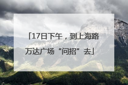 17日下午，到上海路万达广场“问招”去