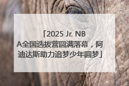 2025 Jr. NBA全国选拔营圆满落幕，阿迪达斯助力追梦少年圆梦