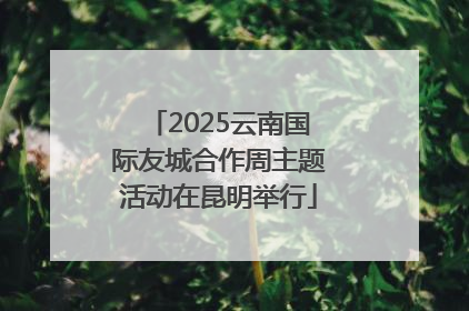2025云南国际友城合作周主题活动在昆明举行