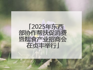 2025年东西部协作帮扶促消费暨糯食产业招商会在贞丰举行