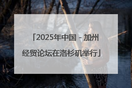 2025年中国－加州经贸论坛在洛杉矶举行