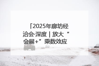2025年廊坊经洽会·深度｜放大“会展+”乘数效应 打造消费新场景