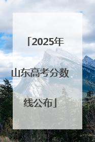 2025年山东高考分数线公布