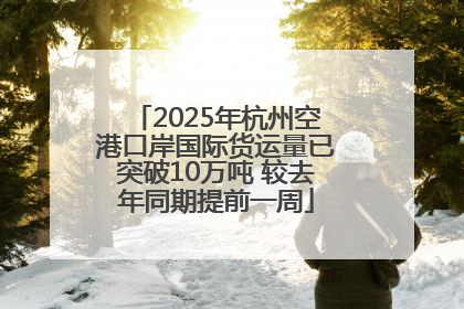 2025年杭州空港口岸国际货运量已突破10万吨 较去年同期提前一周