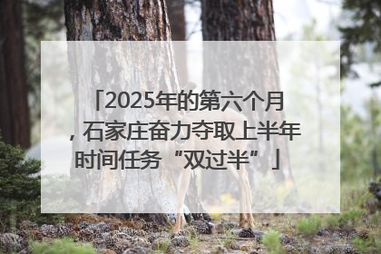 2025年的第六个月，石家庄奋力夺取上半年时间任务“双过半”