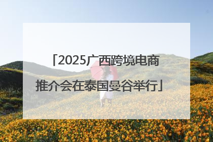 2025广西跨境电商推介会在泰国曼谷举行