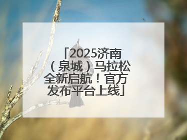 2025济南（泉城）马拉松全新启航！官方发布平台上线
