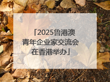 2025鲁港澳青年企业家交流会在香港举办