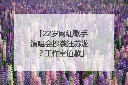 22岁网红歌手演唱会抄袭汪苏泷？工作室道歉