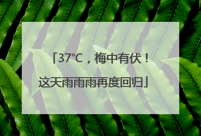 37℃，梅中有伏！这天雨雨雨再度回归