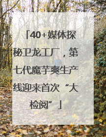 40+媒体探秘卫龙工厂，第七代魔芋爽生产线迎来首次“大检阅”