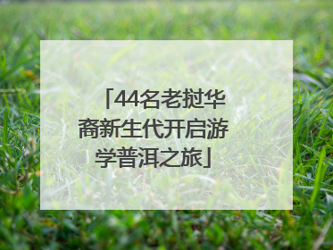 44名老挝华裔新生代开启游学普洱之旅